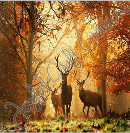 Hunting Sublimation (multiple designs to choose from)